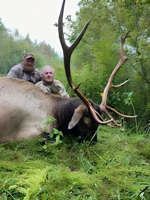 Kentucky Elk customer harvest photo from TLC Outfitters